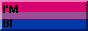 44nifty bisexual button